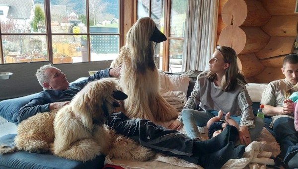 Manchmal ist es Fügung